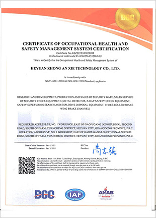 河源工厂ISO45001：2018 英文